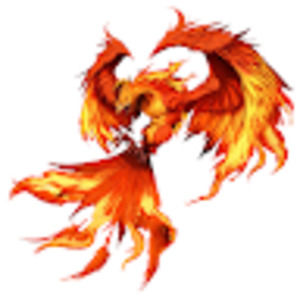 Meet your Posher, Erik